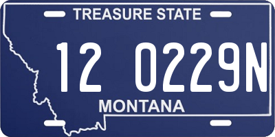 MT license plate 120229N