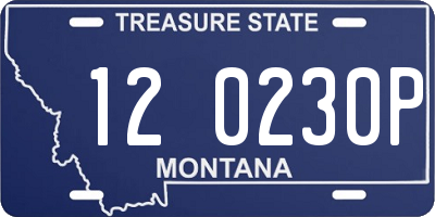 MT license plate 120230P