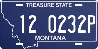 MT license plate 120232P