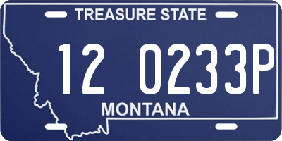 MT license plate 120233P