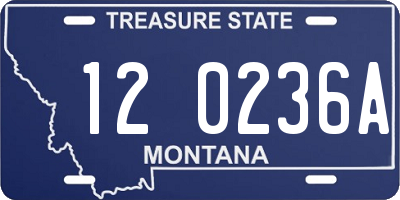 MT license plate 120236A
