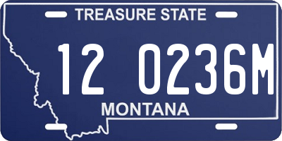 MT license plate 120236M