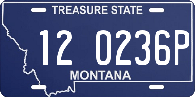 MT license plate 120236P
