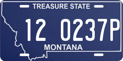MT license plate 120237P