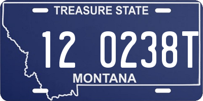 MT license plate 120238T