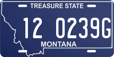 MT license plate 120239G