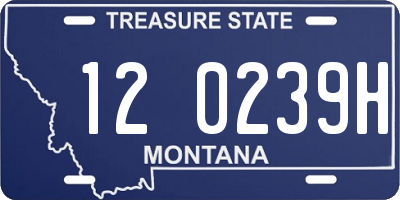 MT license plate 120239H