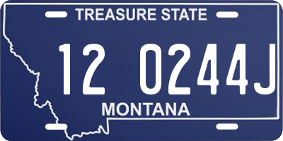 MT license plate 120244J