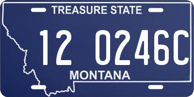 MT license plate 120246C