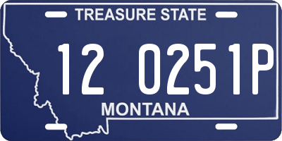 MT license plate 120251P