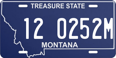 MT license plate 120252M