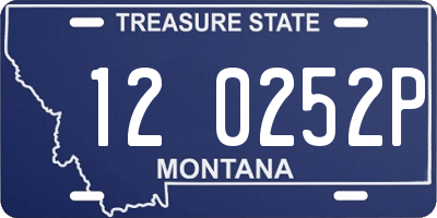 MT license plate 120252P