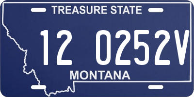 MT license plate 120252V