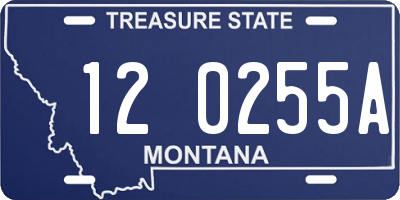 MT license plate 120255A