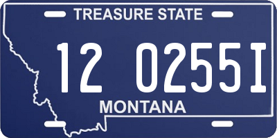 MT license plate 120255I