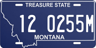 MT license plate 120255M