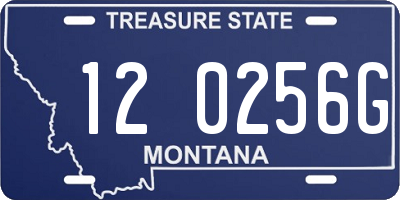 MT license plate 120256G