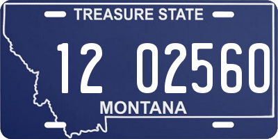 MT license plate 120256O