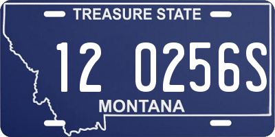 MT license plate 120256S