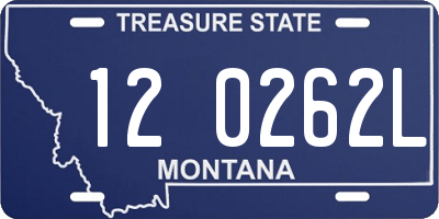 MT license plate 120262L