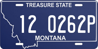 MT license plate 120262P