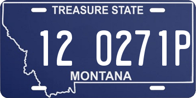 MT license plate 120271P