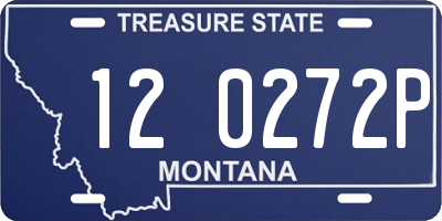 MT license plate 120272P