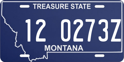 MT license plate 120273Z