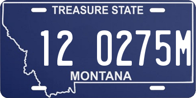 MT license plate 120275M