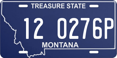 MT license plate 120276P