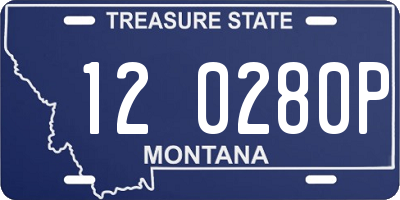 MT license plate 120280P