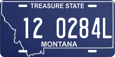 MT license plate 120284L