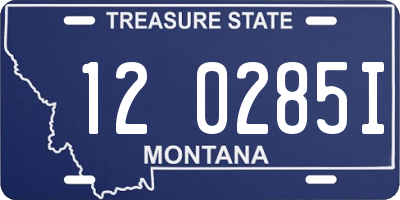 MT license plate 120285I