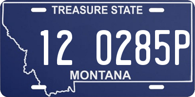 MT license plate 120285P