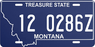 MT license plate 120286Z
