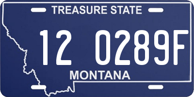 MT license plate 120289F