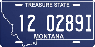 MT license plate 120289I