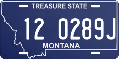 MT license plate 120289J
