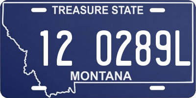 MT license plate 120289L