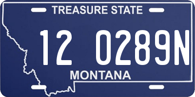 MT license plate 120289N