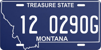 MT license plate 120290G