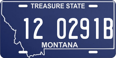 MT license plate 120291B