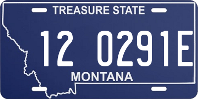 MT license plate 120291E