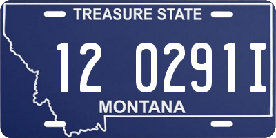 MT license plate 120291I