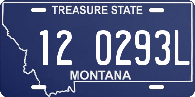 MT license plate 120293L