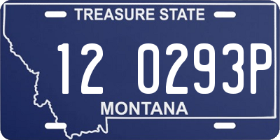 MT license plate 120293P