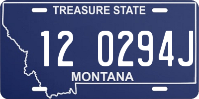 MT license plate 120294J