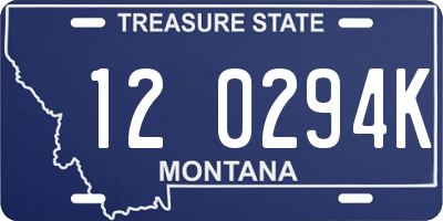 MT license plate 120294K