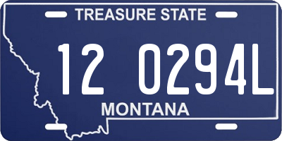 MT license plate 120294L