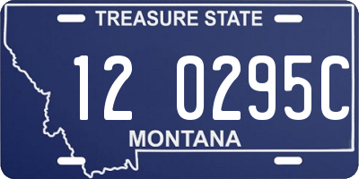 MT license plate 120295C